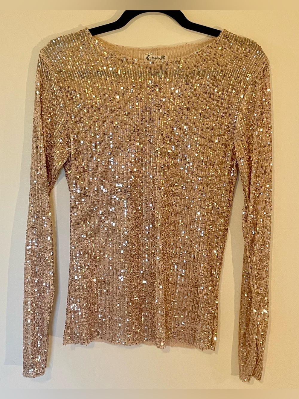 Free People Sequin Top